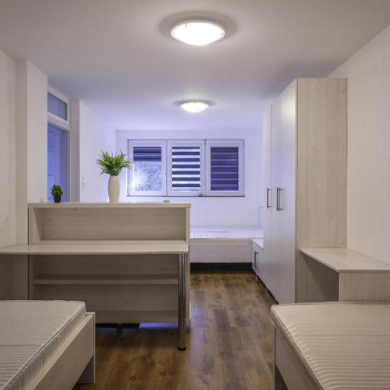 Riverside Forest Prestige 7